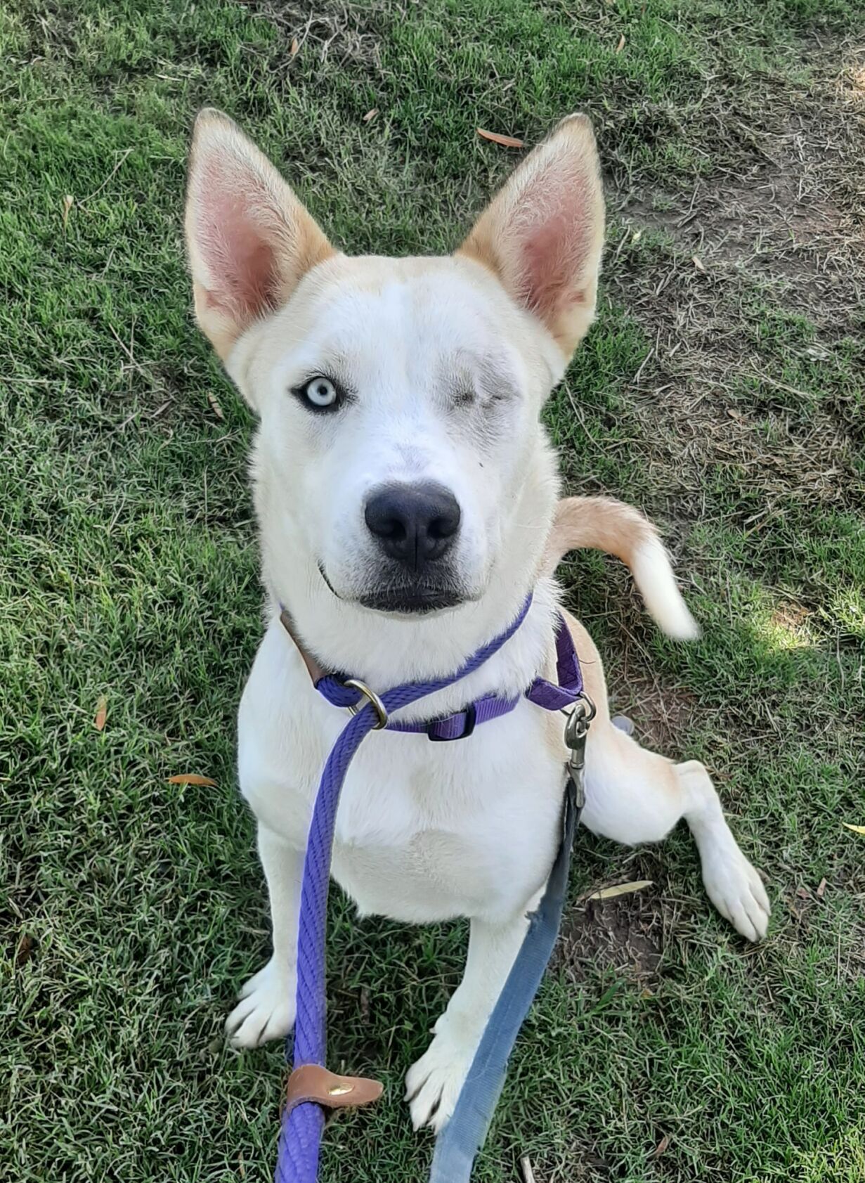 Greta